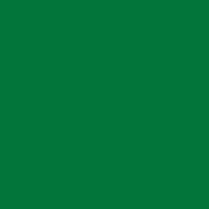 Evergreen Translucent Colour Swatch