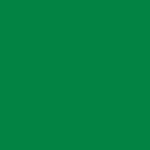 Mid Green 50000 Series KPMF Colour Swatch