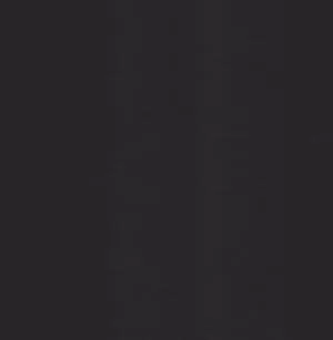 Gloss Perfect Black