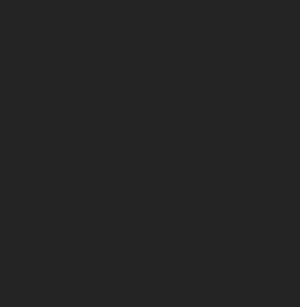 Gloss Perfect Black