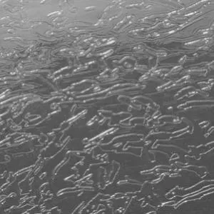 Gloss Perfect Black